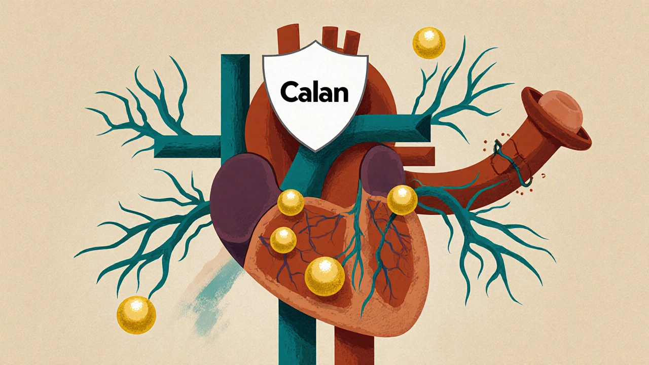 What Is Calan and How Does It Work for Blood Pressure and Angina?