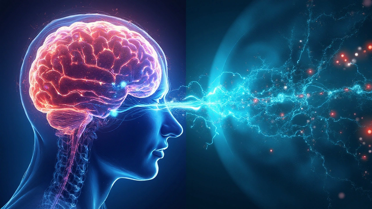 Head‑to‑Head Comparison Table
