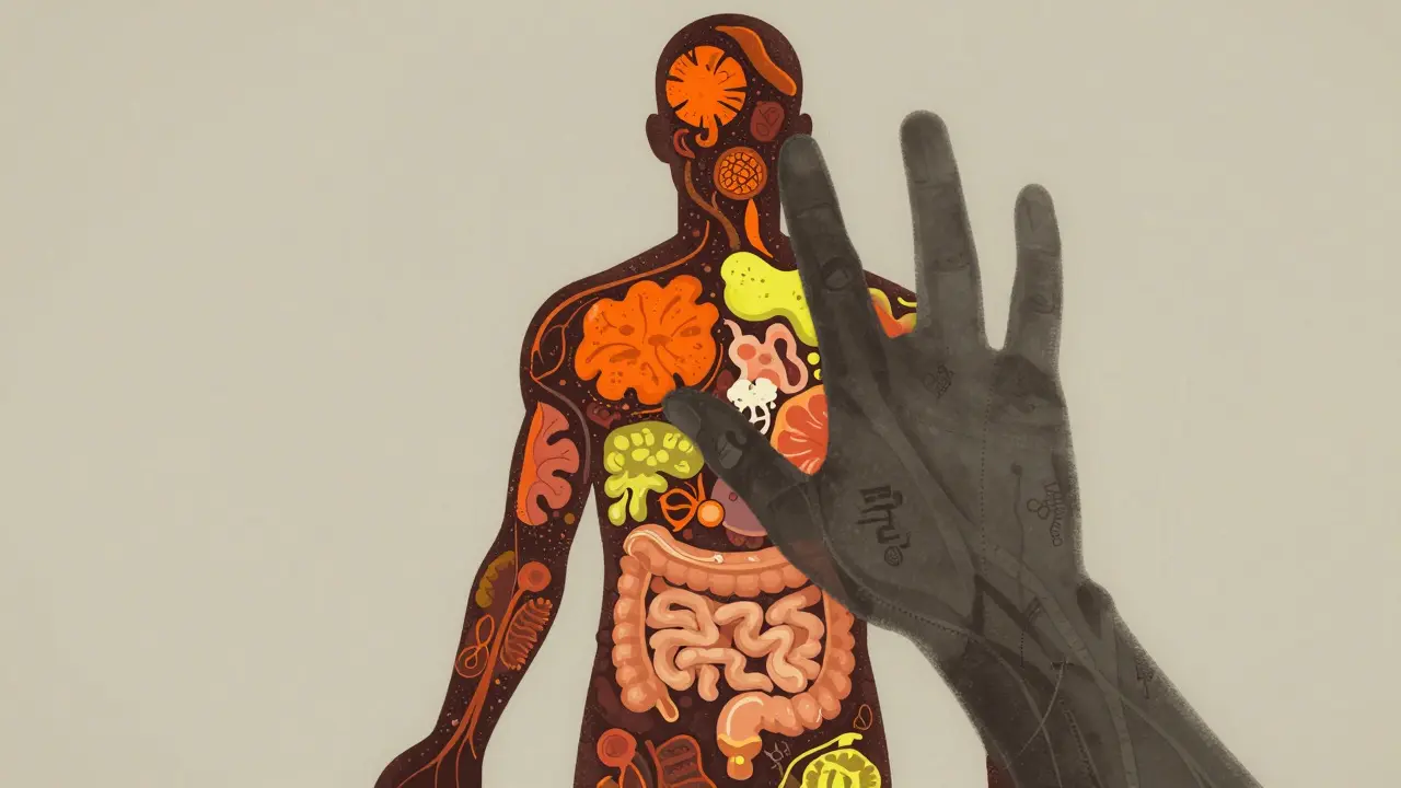Silhouette showing gut health and medication risks